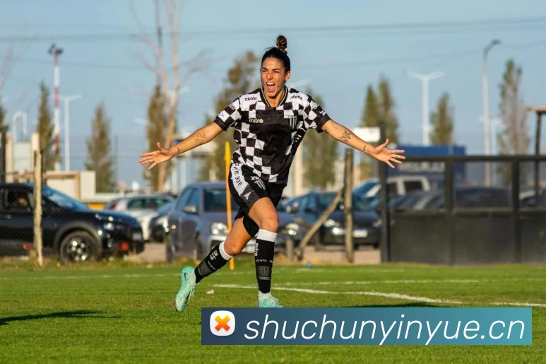 星空官网免费入口发展历程